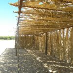 ACAMPAMENTOS-PARA-LOCAÇÃO-056