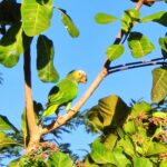 IMG_20250903_072923_1