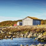 shed-by-the-shore.jpg